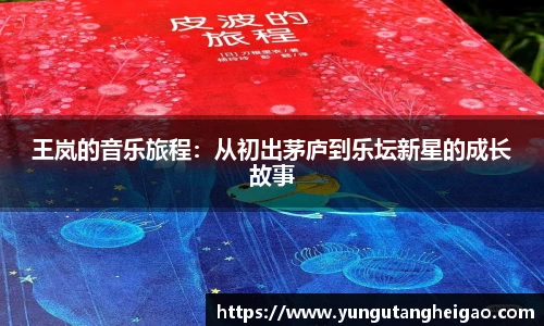 王岚的音乐旅程：从初出茅庐到乐坛新星的成长故事