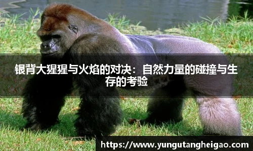 九游娱乐平台