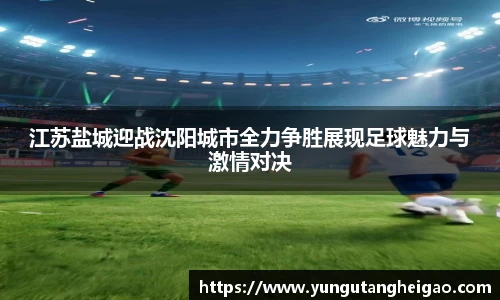江苏盐城迎战沈阳城市全力争胜展现足球魅力与激情对决