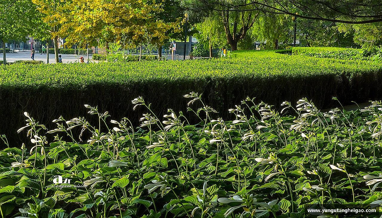 跃动青春，激情体育